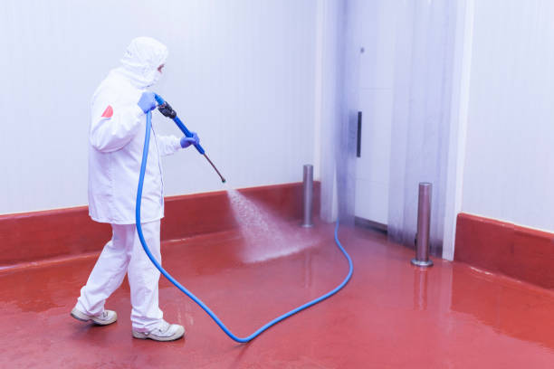 Best Window and Screen Pressure Cleaning in Skokie, IL